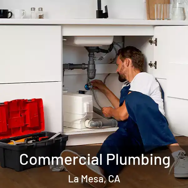  Commercial Plumbing La Mesa, CA