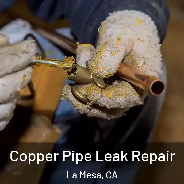  Copper Pipe Leak Repair La Mesa, CA