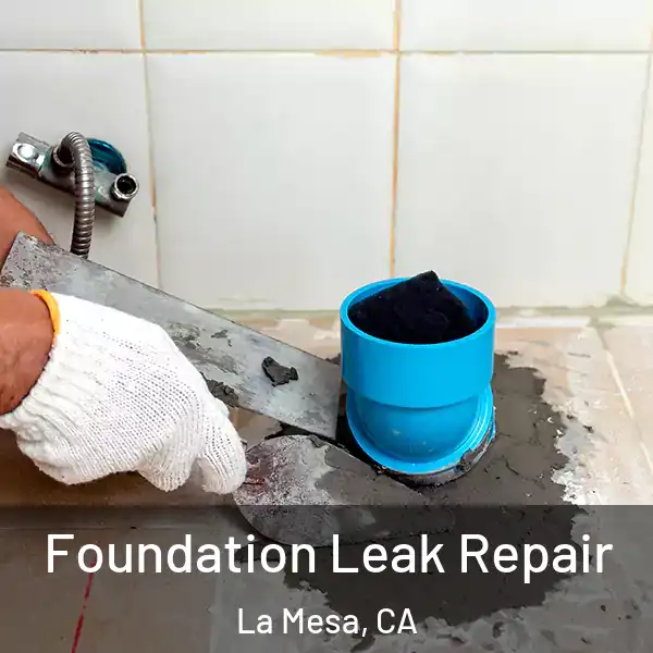  Foundation Leak Repair La Mesa, CA