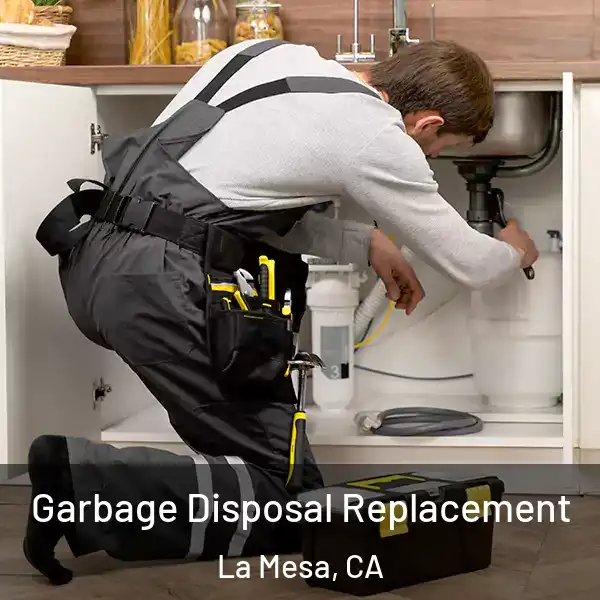  Garbage Disposal Replacement La Mesa, CA