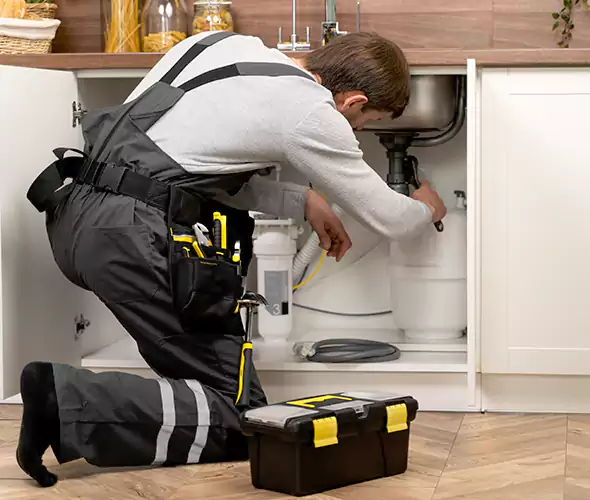 Certified Plumbers for Insinkerator Installation in La Mesa