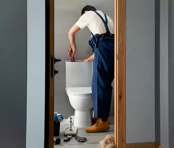 Professional Plumbers for Toilet Bowl Replacement in La Mesa, CA: Schedule Affordable Toilet Replacement Services With Us