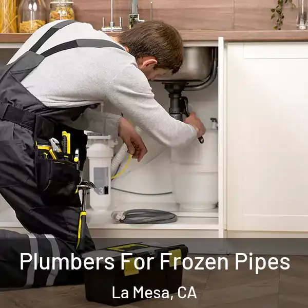  Plumbers For Frozen Pipes La Mesa, CA