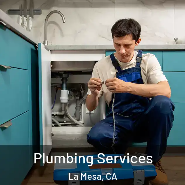 Plumbing Services La Mesa, CA