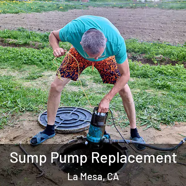 Sump Pump Replacement La Mesa, CA