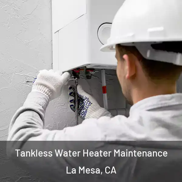  Tankless Water Heater Maintenance La Mesa, CA