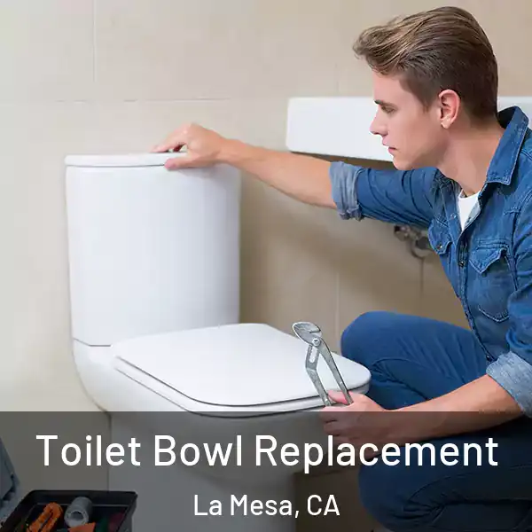  Toilet Bowl Replacement La Mesa, CA