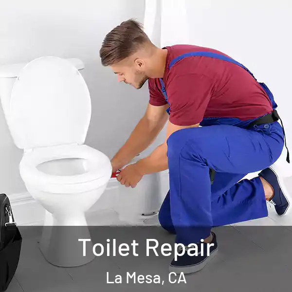  Toilet Repair La Mesa, CA