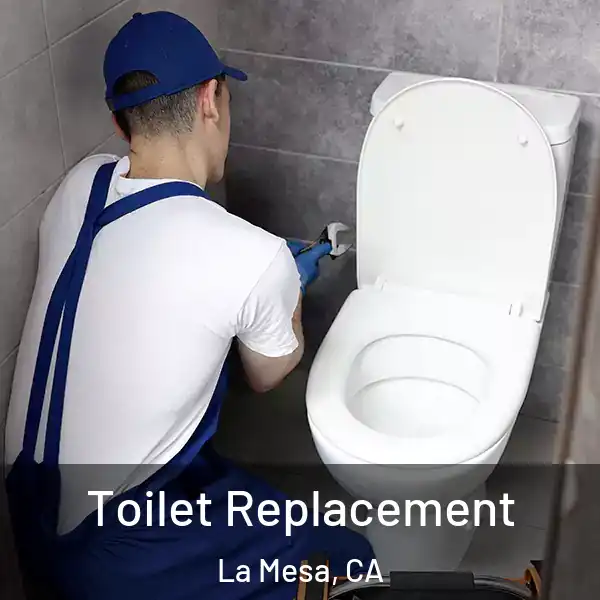  Toilet Replacement La Mesa, CA
