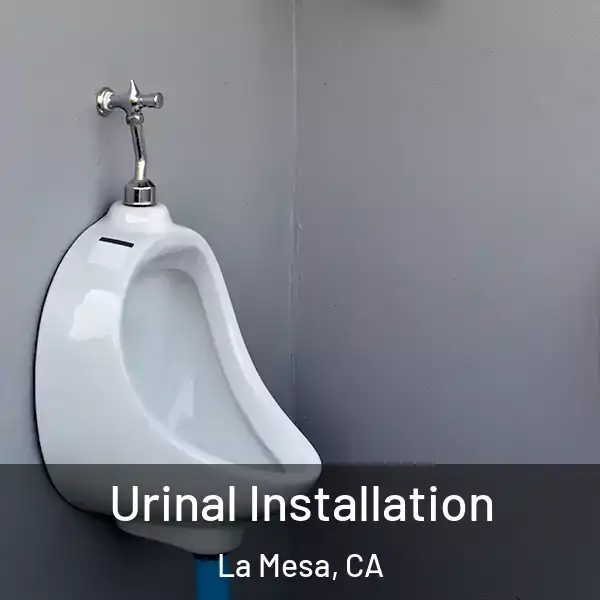  Urinal Installation La Mesa, CA