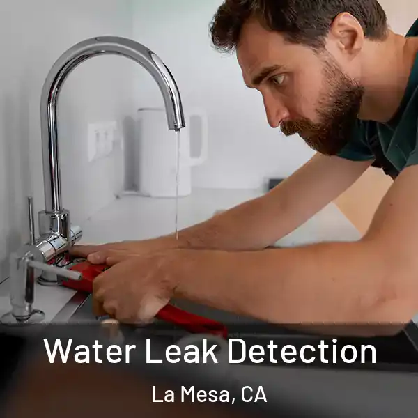  Water Leak Detection La Mesa, CA